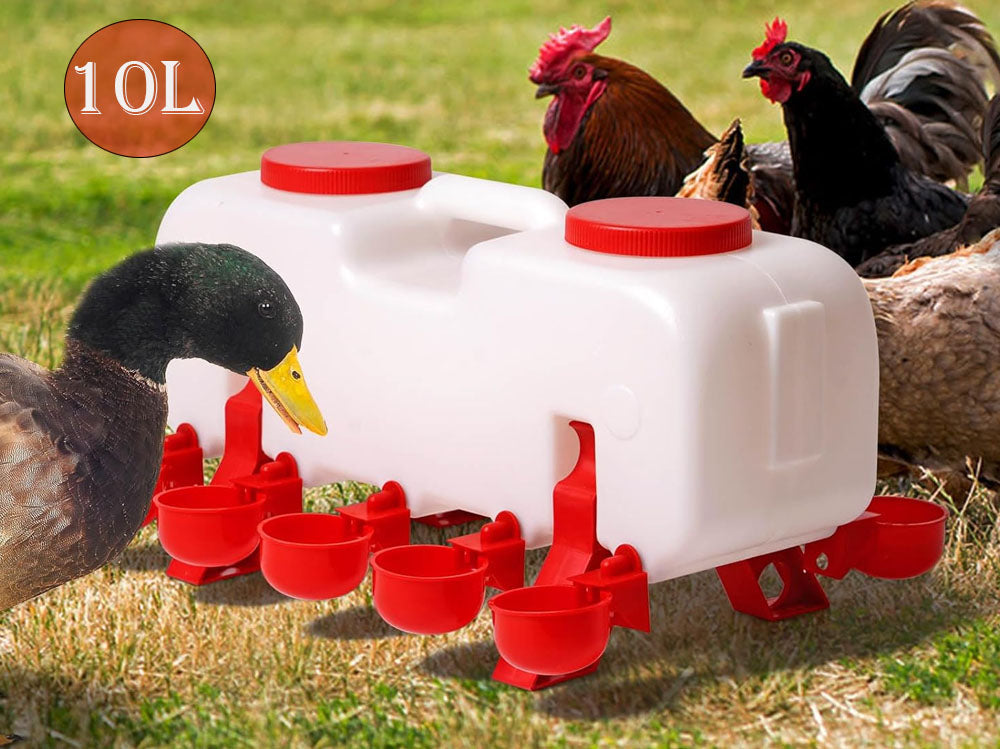 Poultry Waterer Chicken Feeder for Chicken Quail Duck Goose Turkey