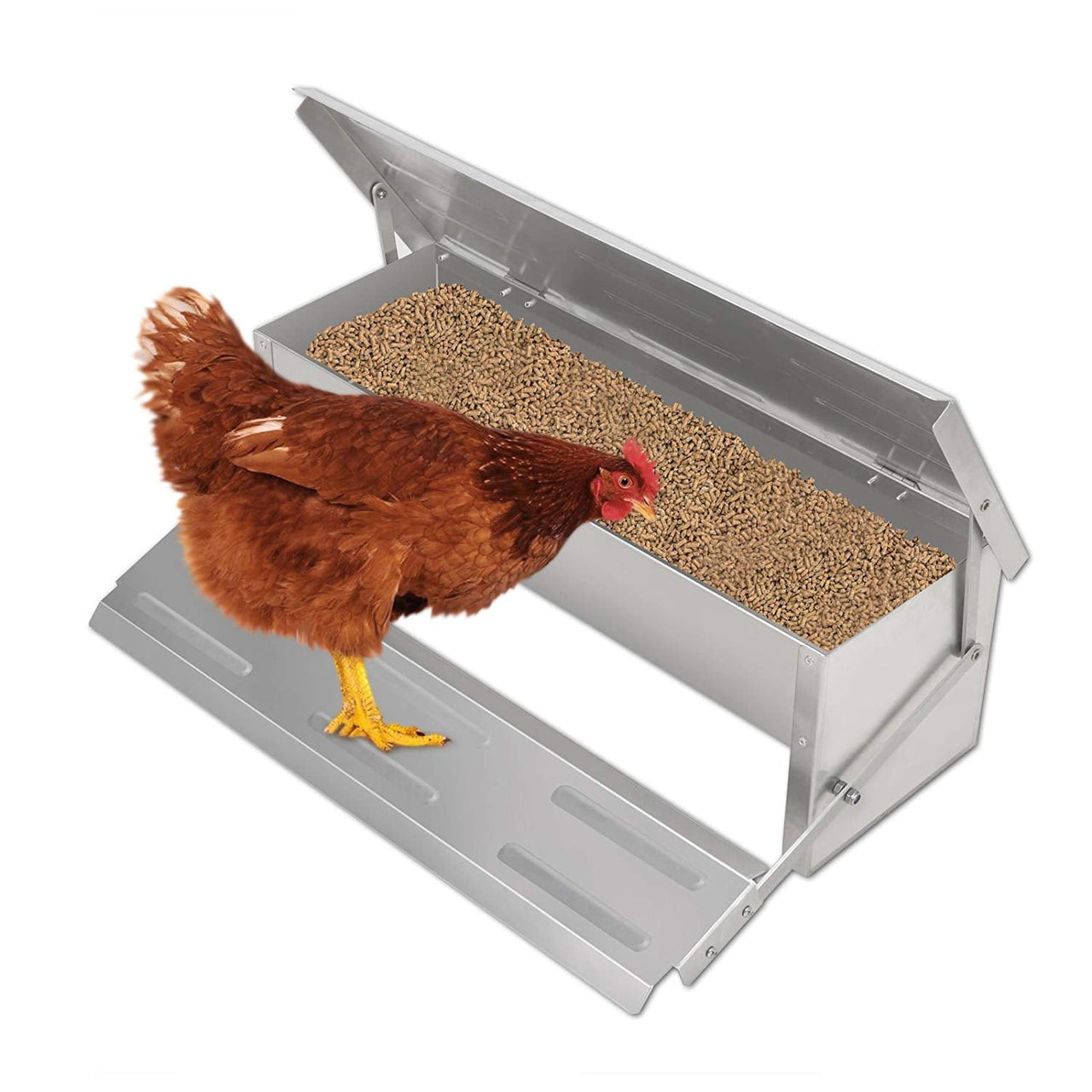 Automatic Chicken Feeder