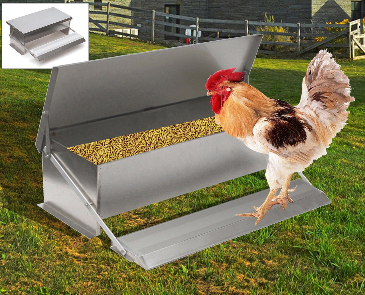Automatic Chicken Feeder